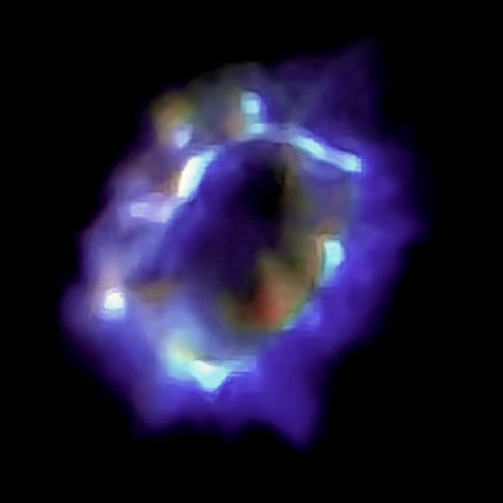 Meet your Posher, Joshua